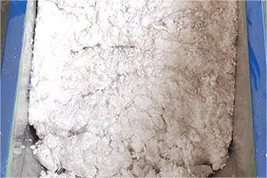 日常生活垃圾:泡沫塑料垃圾解決方案